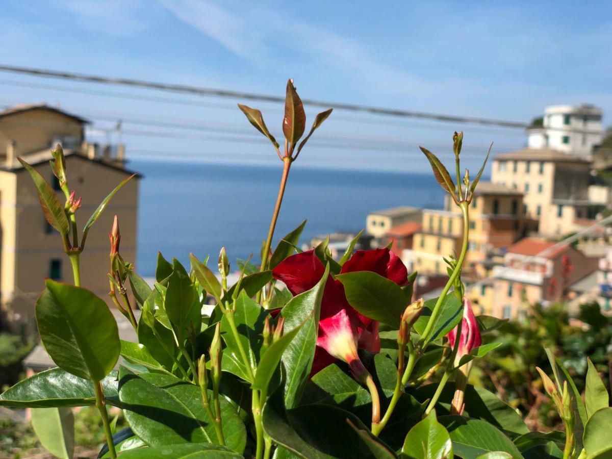 Cinque Terre Coast To Coast Hotell Riomaggiore Eksteriør bilde